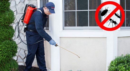 Fethiye Kene İlaçlama böcek ilaçlama ve haşere kontrolü — ilaclama-tr.com